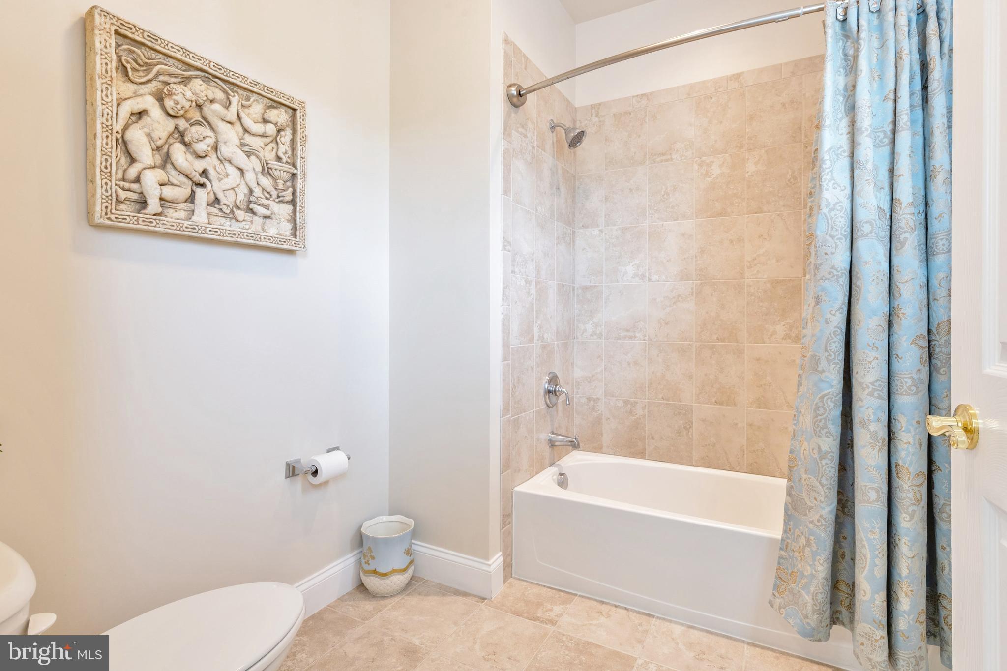 7007 Springville Court Springfield, VA 22150 - Photo 53 of 79 Hall Bathroom