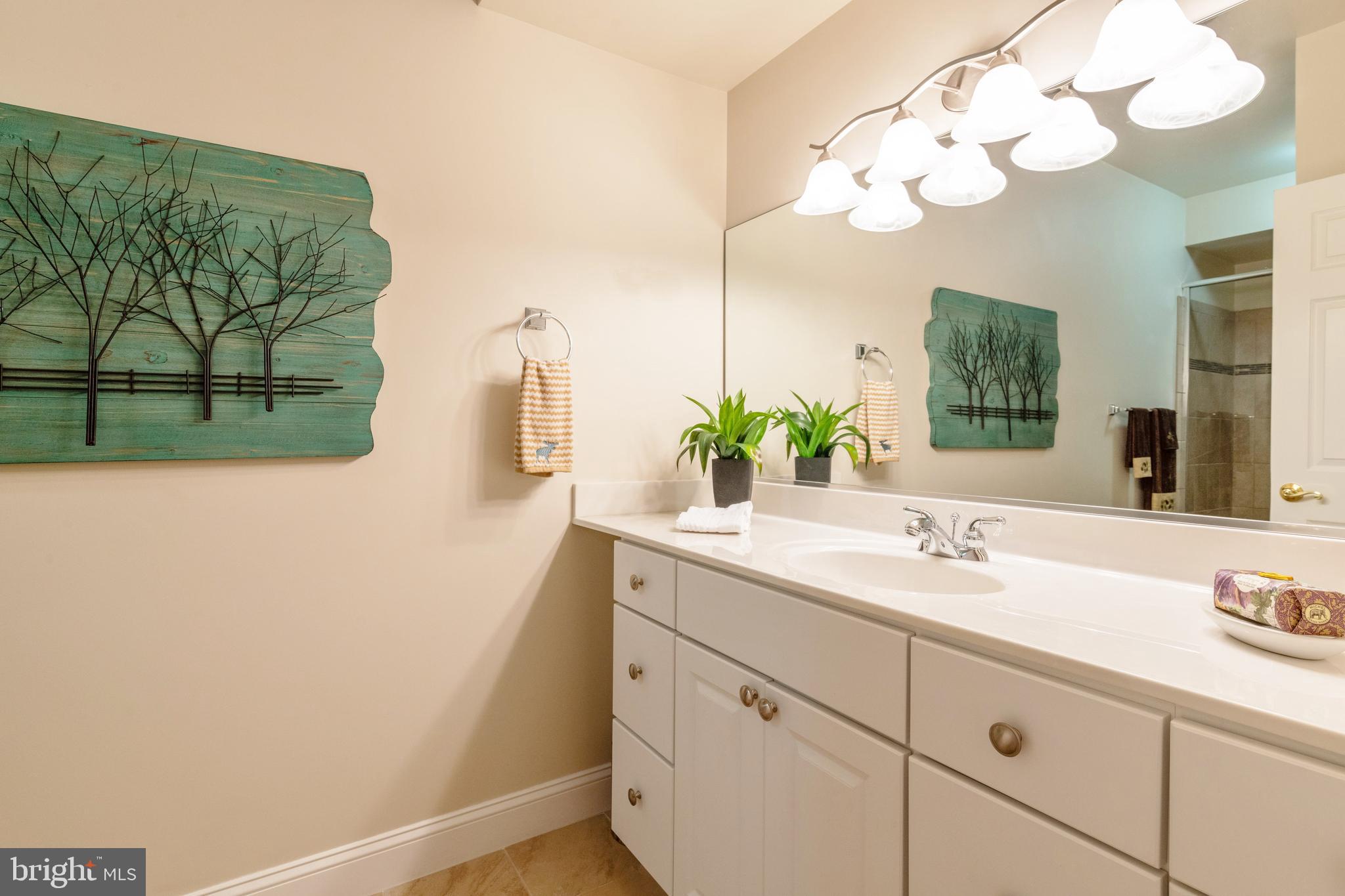 7007 Springville Court Springfield, VA 22150 - Photo 64 of 79 Lower level bathroom
