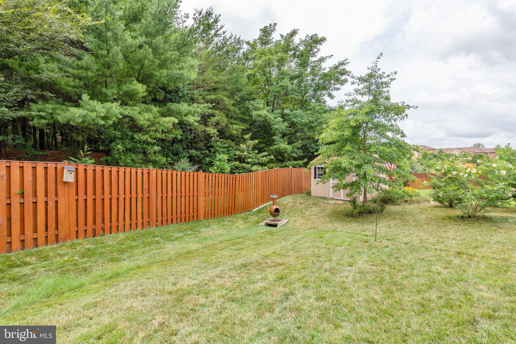 7007 Springville Court Springfield, VA 22150 - Photo 73 of 79 Fenced rear garden