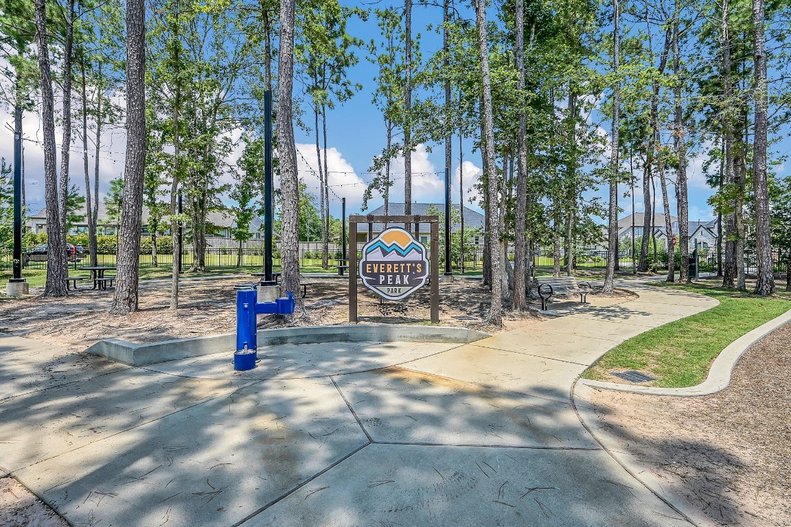 328 Rise Lane Montgomery, TX 77316 - Photo 49 of 49