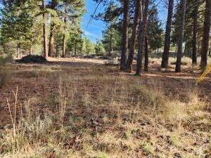 Pine Ridge Road Chiloquin, OR 97624 - Photo 4 of 7 20251110204113183116000000
