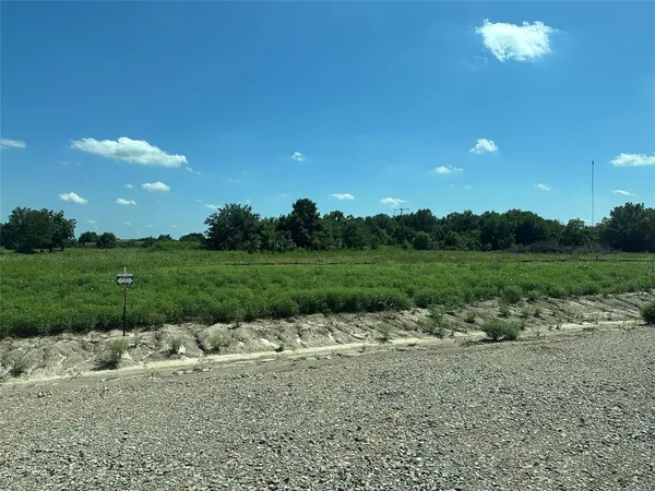a view of a garden with a pond