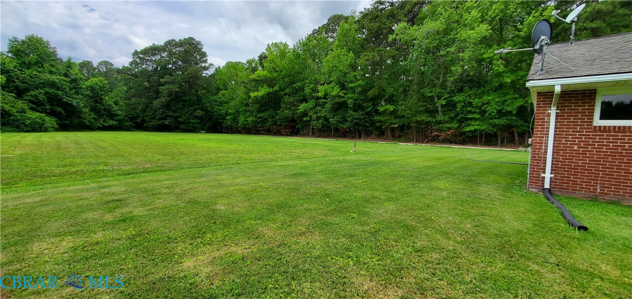 791 North River Road Foster, VA 23056 - Photo 4 of 22
