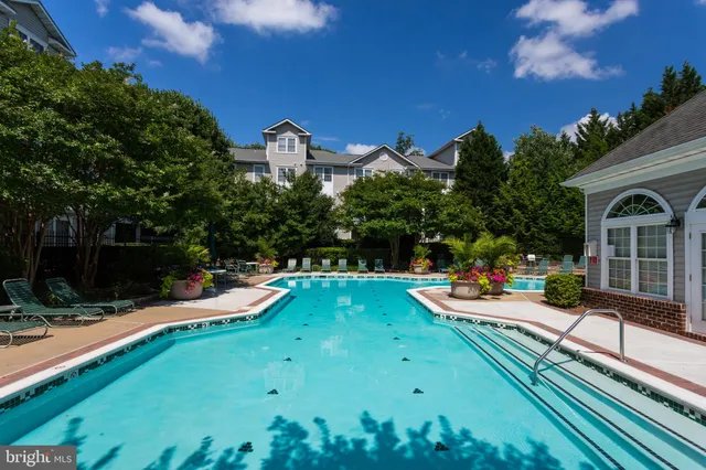 a view of a swimming pool with a yard and potted plants