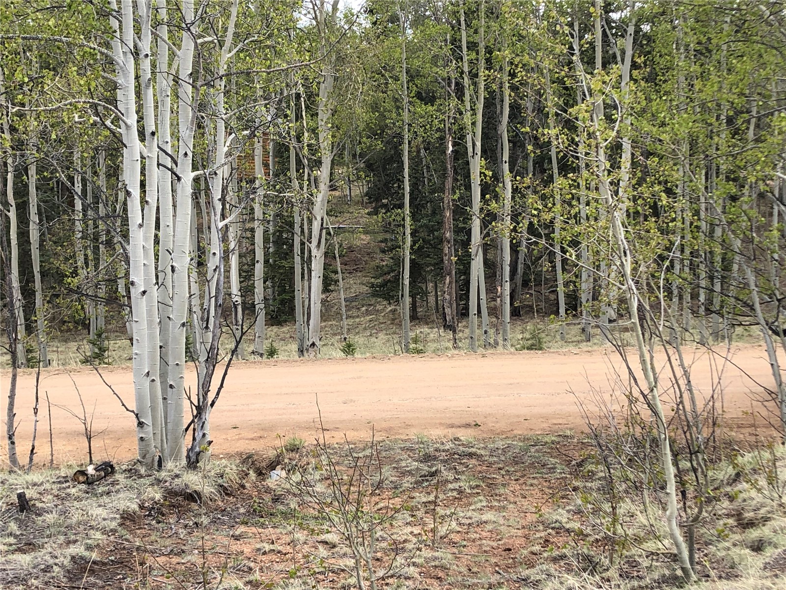 171 Falcon Road Como, CO 80432 - Photo 11 of 14 Gallery Image 11