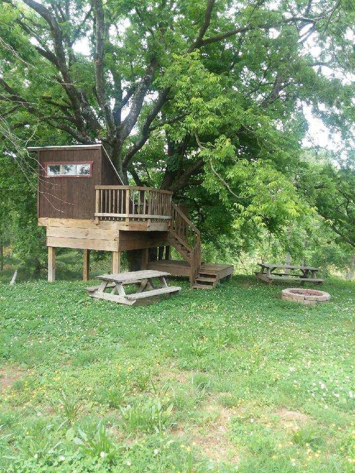 385 Webster Road Harriman, TN 37748 - Photo 30 of 30 Webster 4