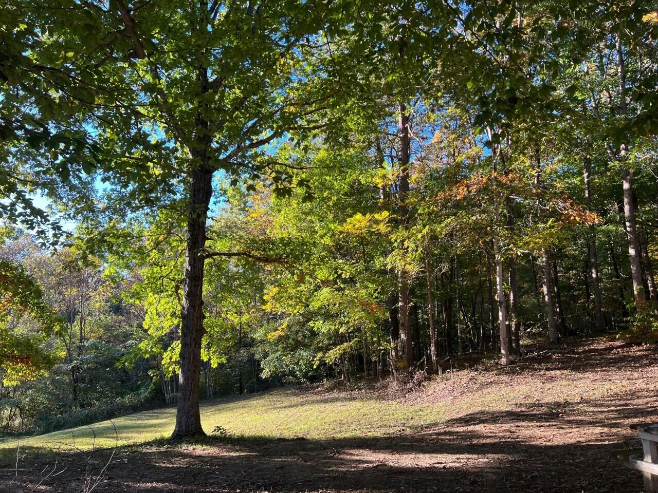 1523 Bore Auger Road Blue Ridge, VA 24064 - Photo 25 of 34 a sign that is sitting in the middle of a yard