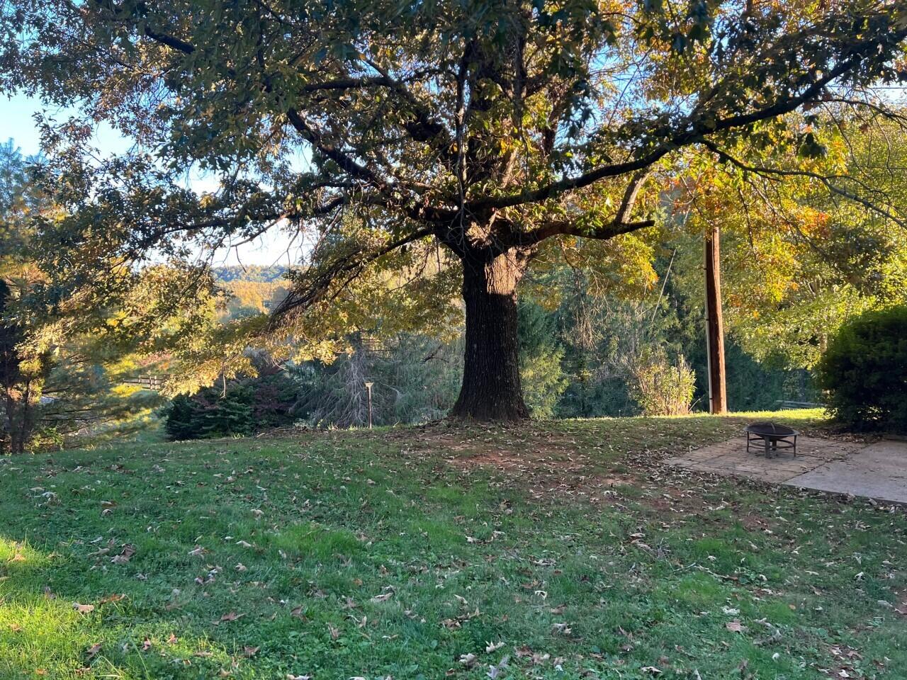 1523 Bore Auger Road Blue Ridge, VA 24064 - Photo 26 of 34 a big yard with large trees