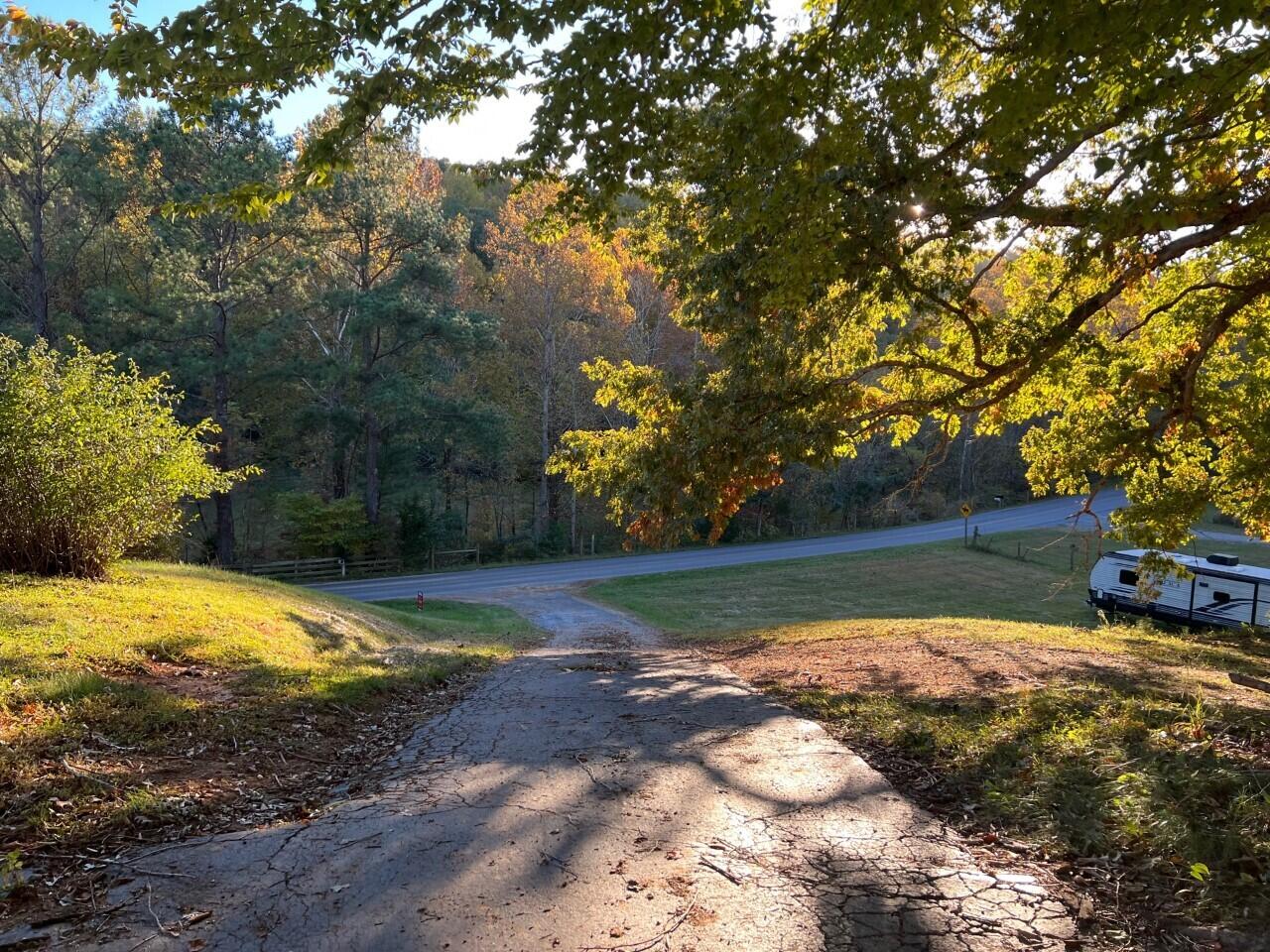 1523 Bore Auger Road Blue Ridge, VA 24064 - Photo 29 of 34 a view of a yard with large trees