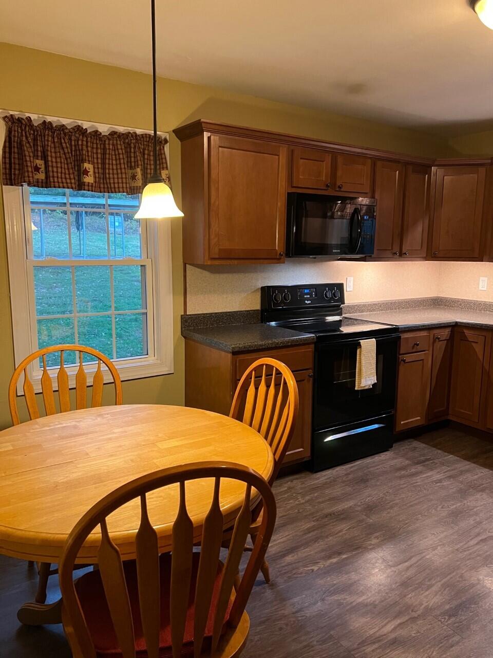 1523 Bore Auger Road Blue Ridge, VA 24064 - Photo 10 of 34 a kitchen with stainless steel appliances kitchen island a table chairs in it and wooden floors