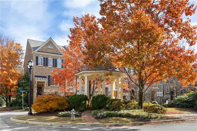 a view of a yard with plants