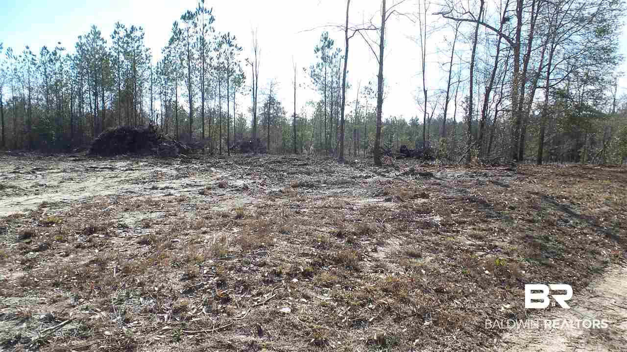 5-6 Dixon Nursery Road Brewton, AL 36426 - Photo 19 of 21