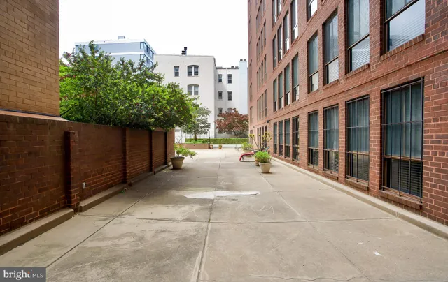 a view of a building with potted plants