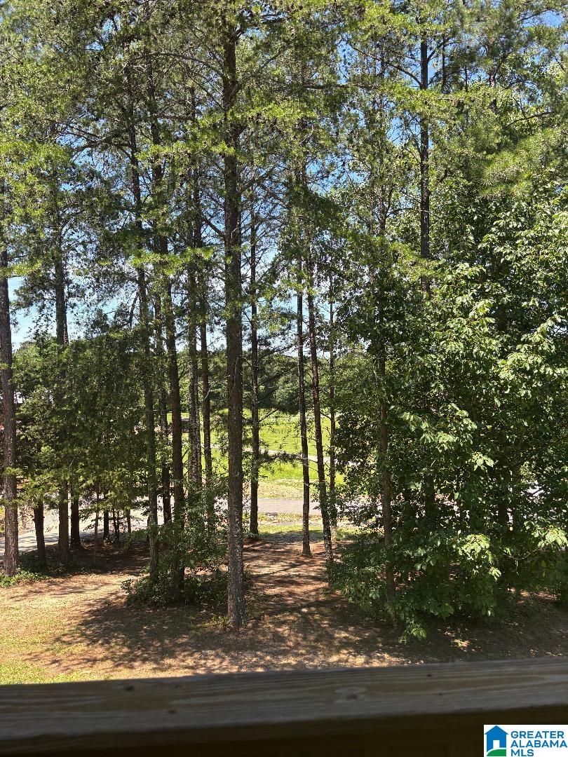 426 Inland Lake Road Springville, AL 35146 - Photo 25 of 26