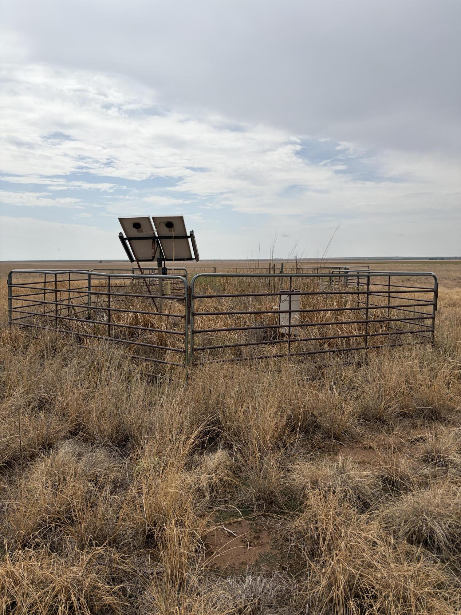 227 Co Road Sudan, TX 79371 - Photo 13 of 15 IMG_4302