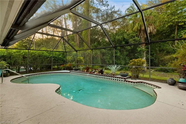a view of a swimming pool with a garden and plants