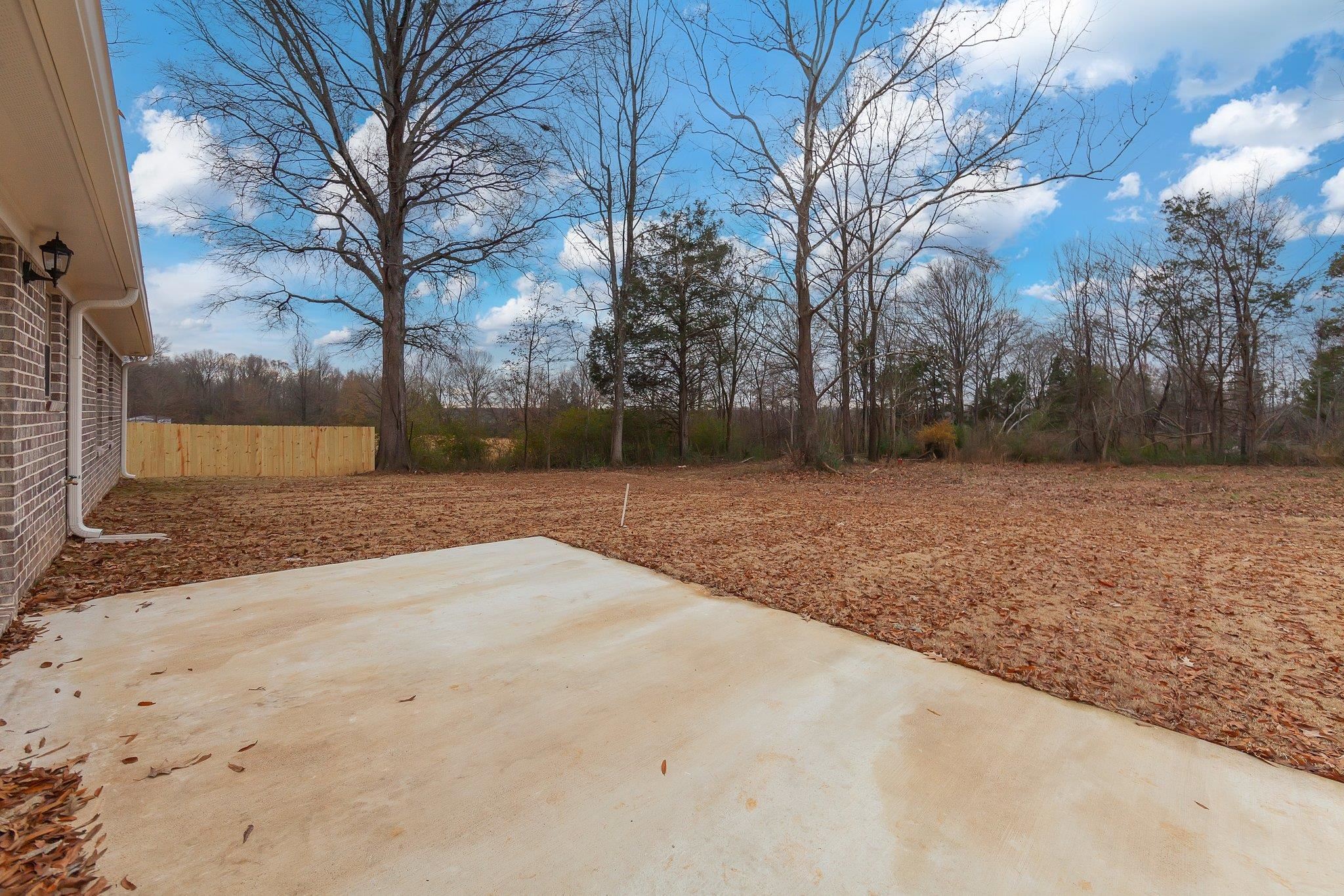 461 Summit Lane Stanton, TN 38069 - Photo 28 of 30 a view of large space with trees