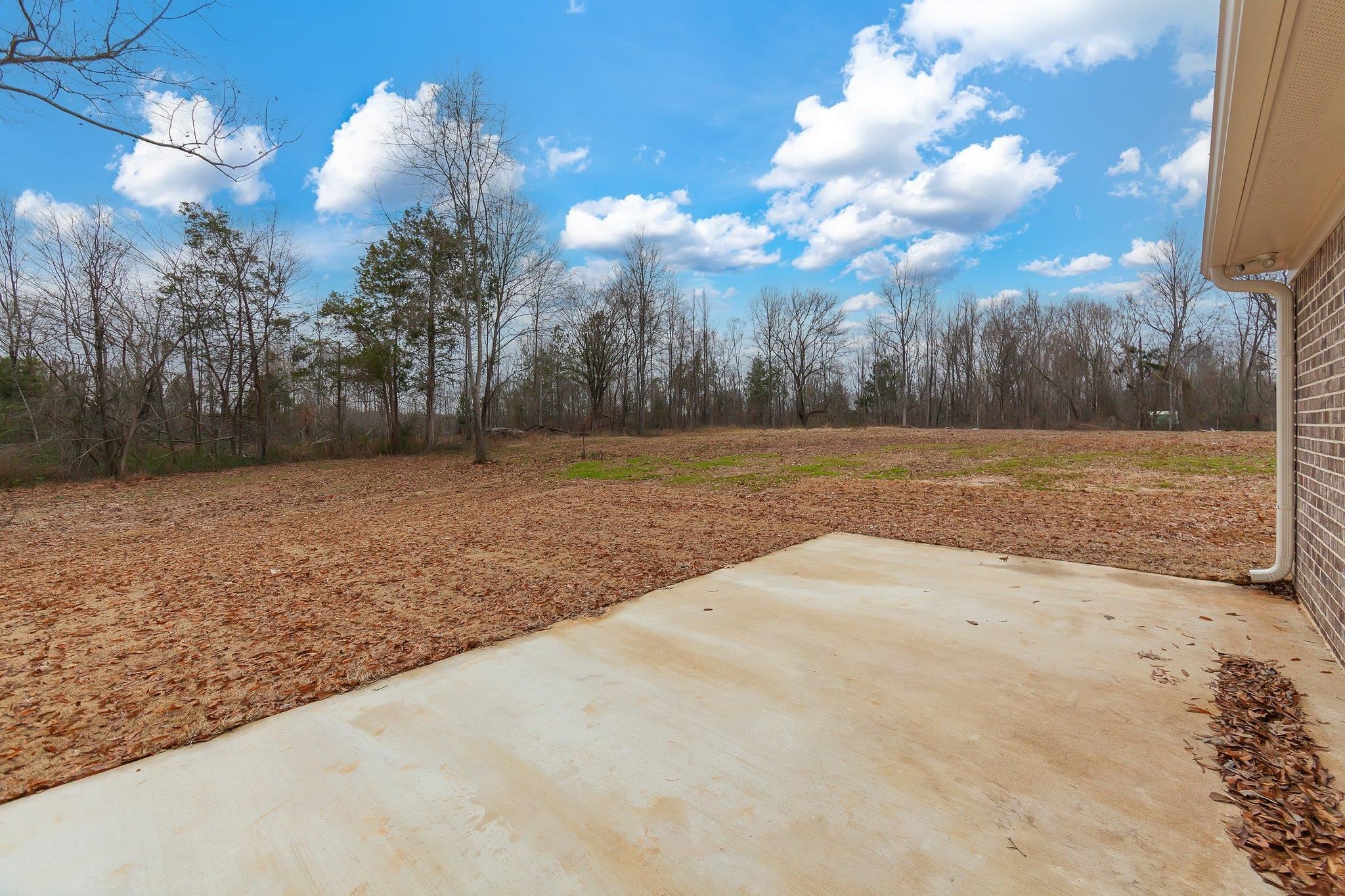 461 Summit Lane Stanton, TN 38069 - Photo 29 of 30 a view of outdoor space with green field