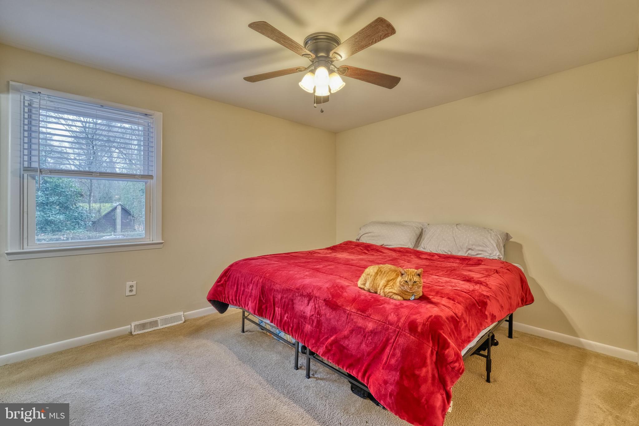 552 Pheasant Court Pasadena, MD 21122 - Photo 15 of 37