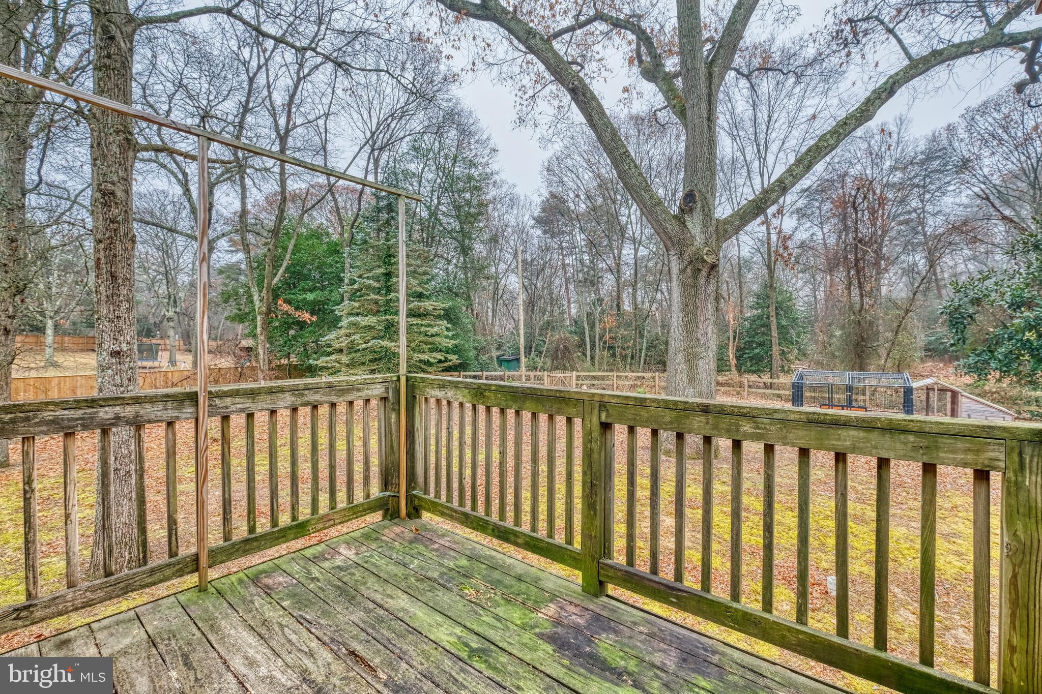 552 Pheasant Court Pasadena, MD 21122 - Photo 37 of 37