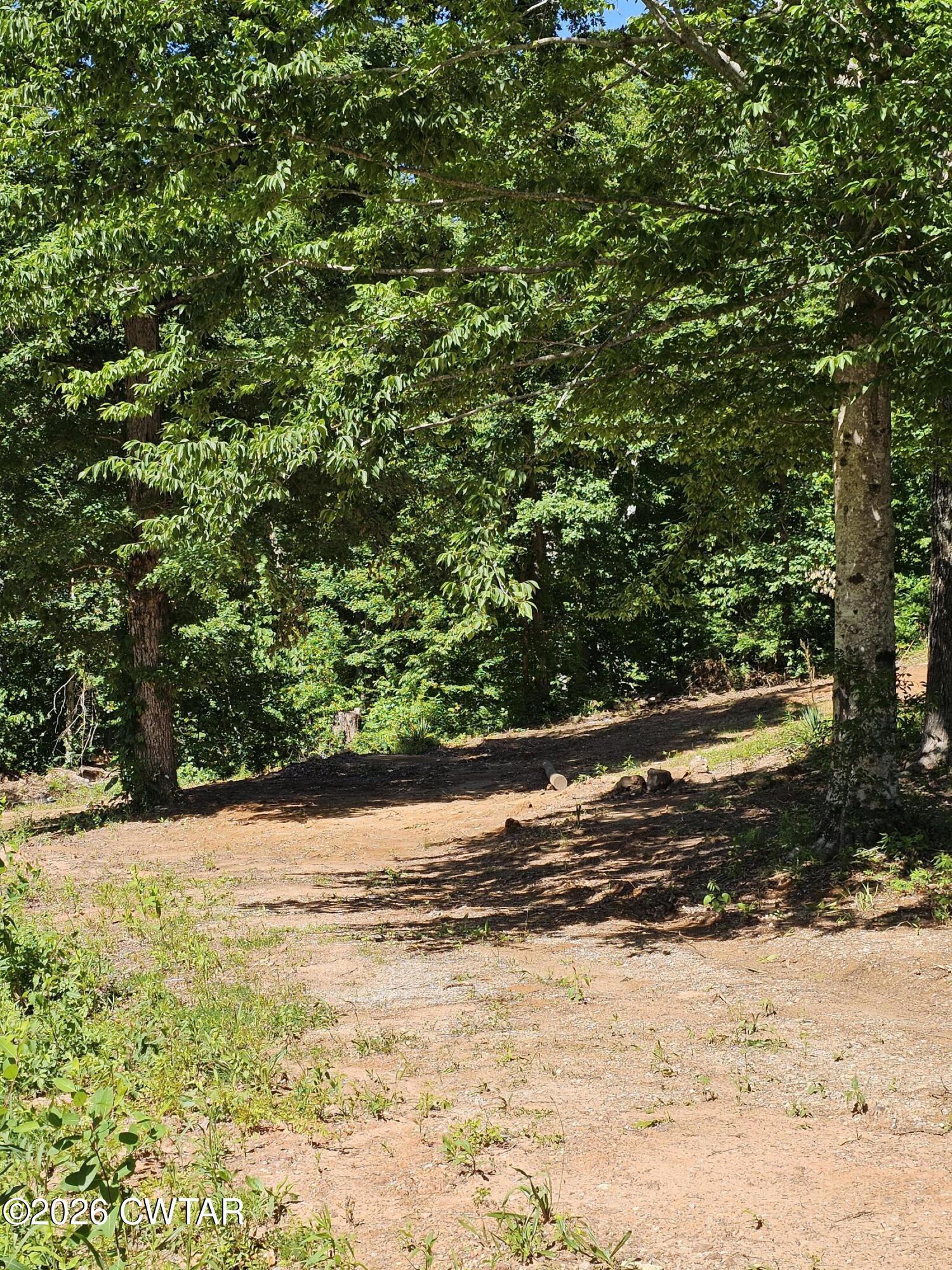 1375 Sticky Ridge Road Reagan, TN 38368 - Photo 13 of 13 20260508_150903