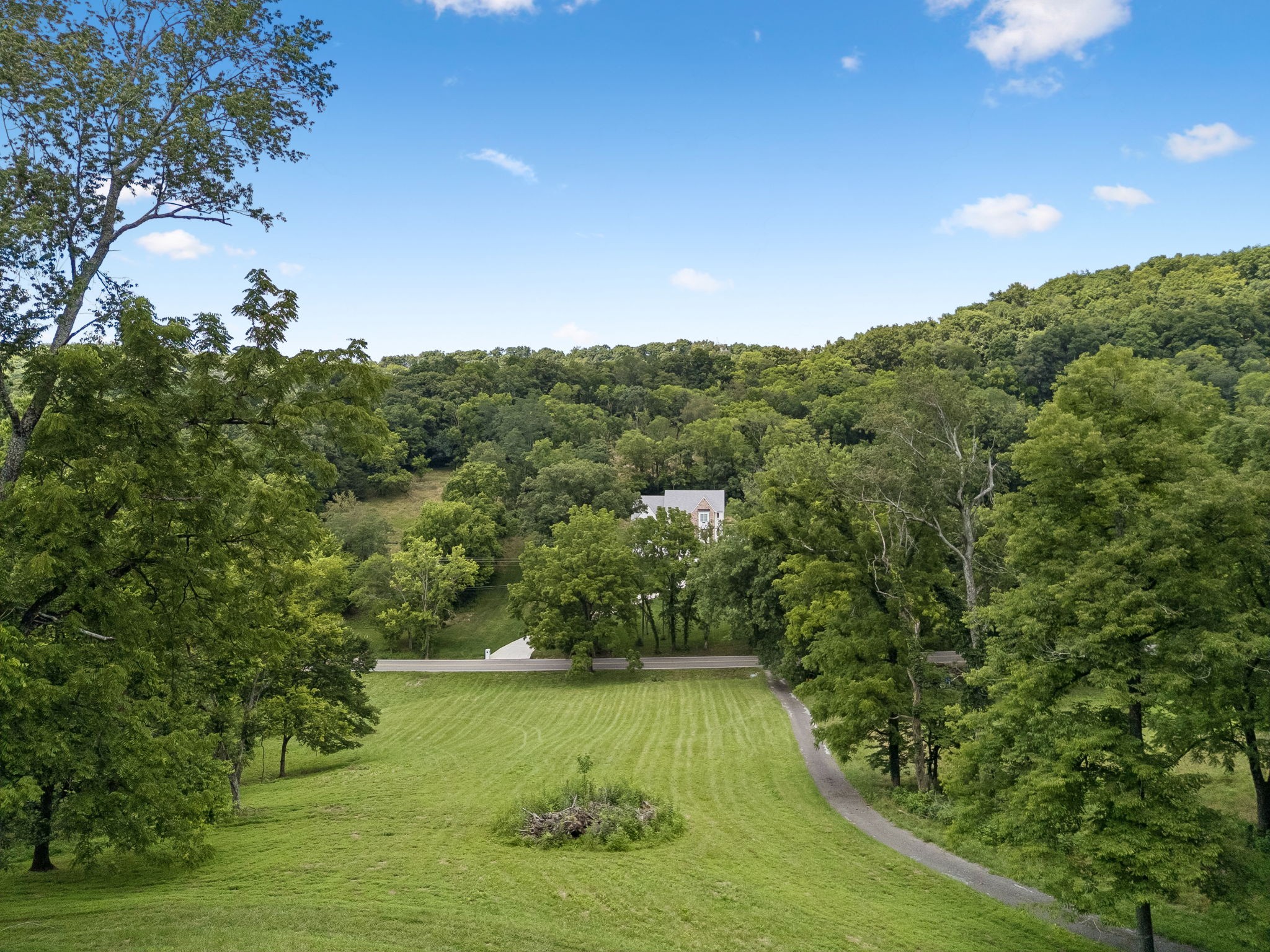 2268 North Berrys Chapel Road Franklin, TN 37069 - Photo 5 of 16 a view of a lake with a mountain
