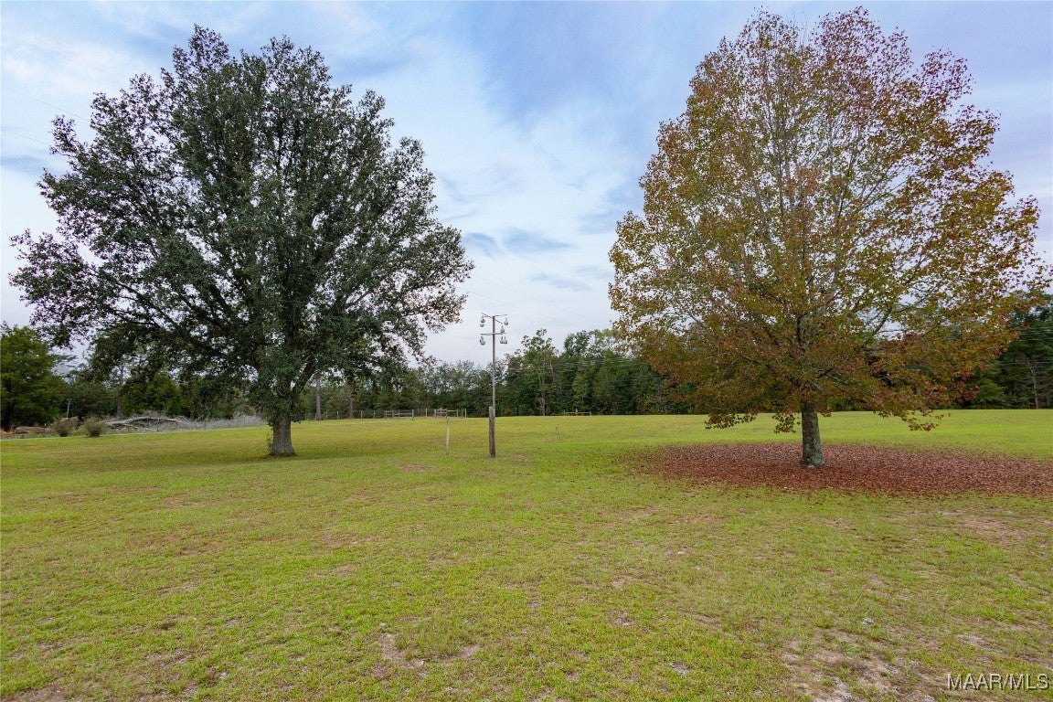 357 Highway 153 Samson, AL 36477 - Photo 48 of 52 Gallery Image 48
