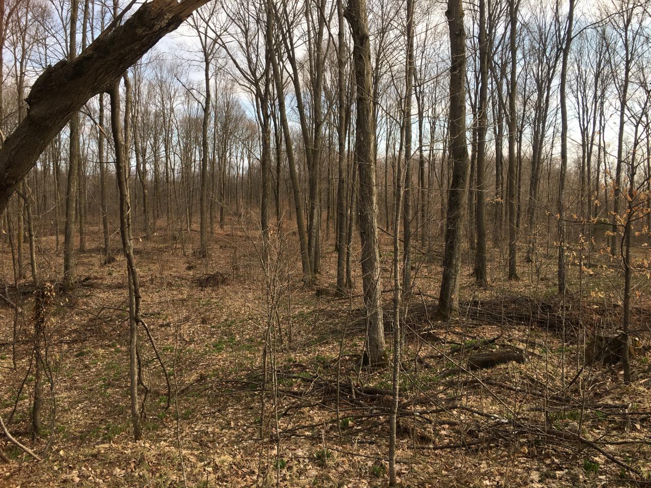 N3919 Hill Road Antigo, WI 54409 - Photo 24 of 34