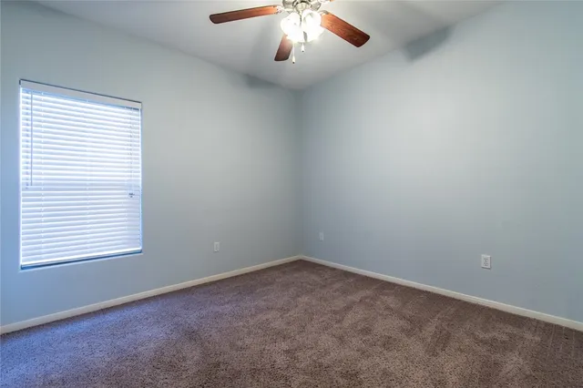 a bathroom with a shower and a toilet