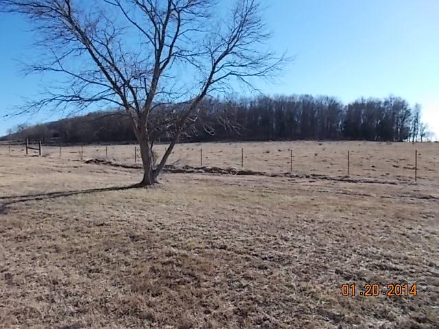1693 Spring Creek Road Lebanon, TN 37087 - Photo 16 of 20 Gallery Image 16