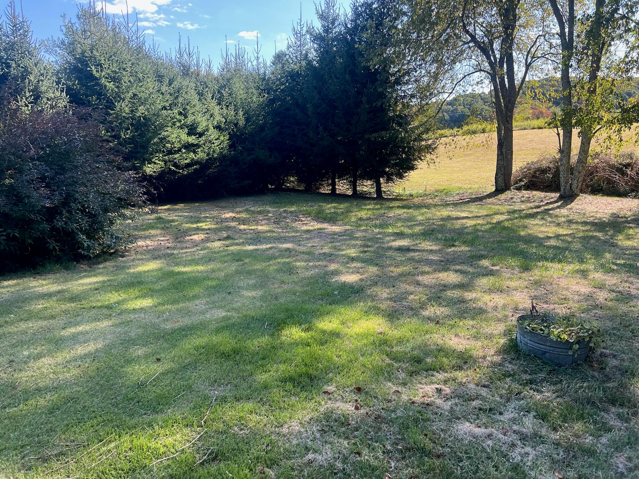 1591 Lawn Road Meadow Bridge, WV 25976 - Photo 26 of 37 Gallery Image 26