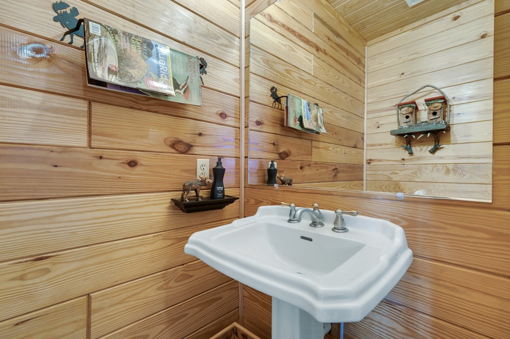 312 Oak Ledge Road Morganton, GA 30560 - Photo 39 of 45 Gallery Image 39