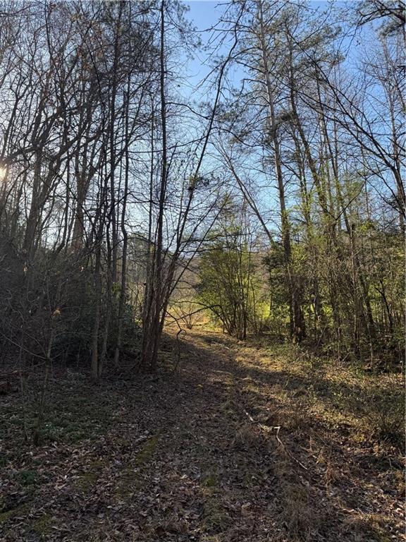 0 Blue Arrow Road Mineral Bluff, GA 30559 - Photo 17 of 20 Gallery Image 17