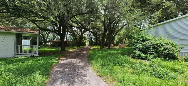 a view of a yard with plants and large trees