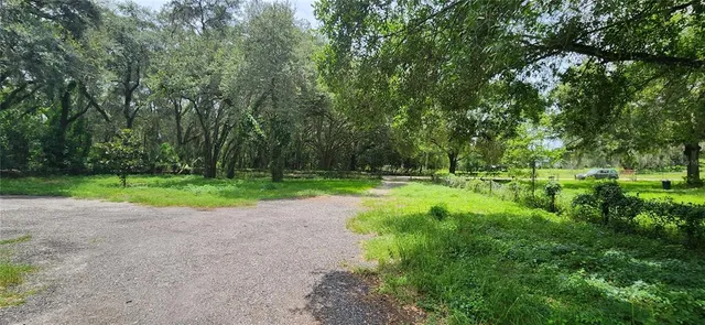 a view of a park with large trees