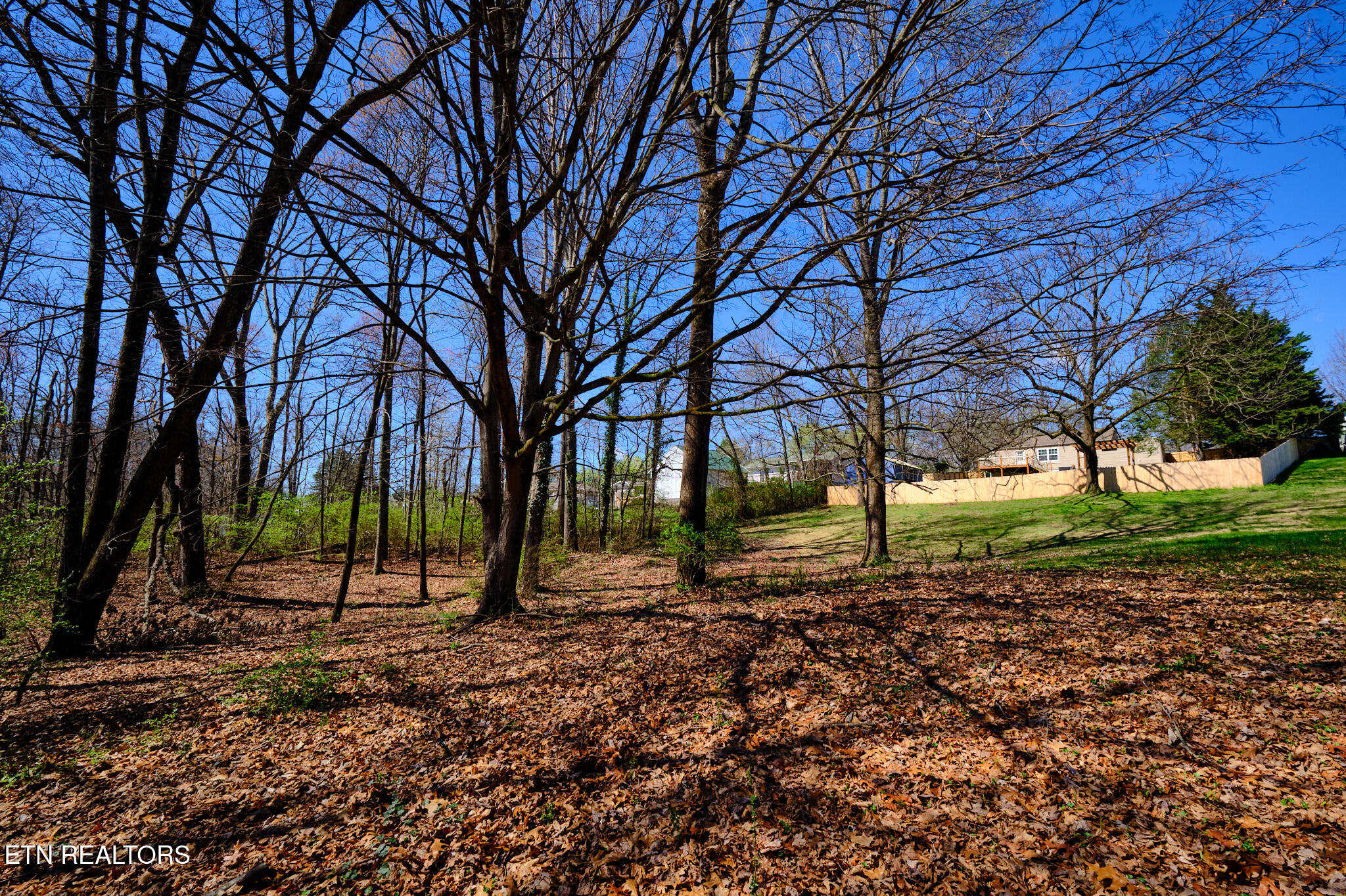548 Murray Road Northwest Knoxville, TN 37912 - Photo 49 of 56 548 Murray Dr 51