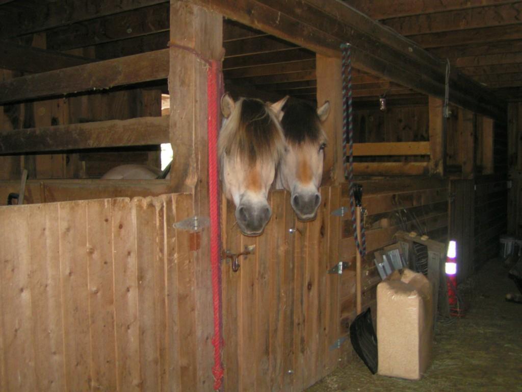 946 Stow Road Stow, ME 04037 - Photo 23 of 28 Photo