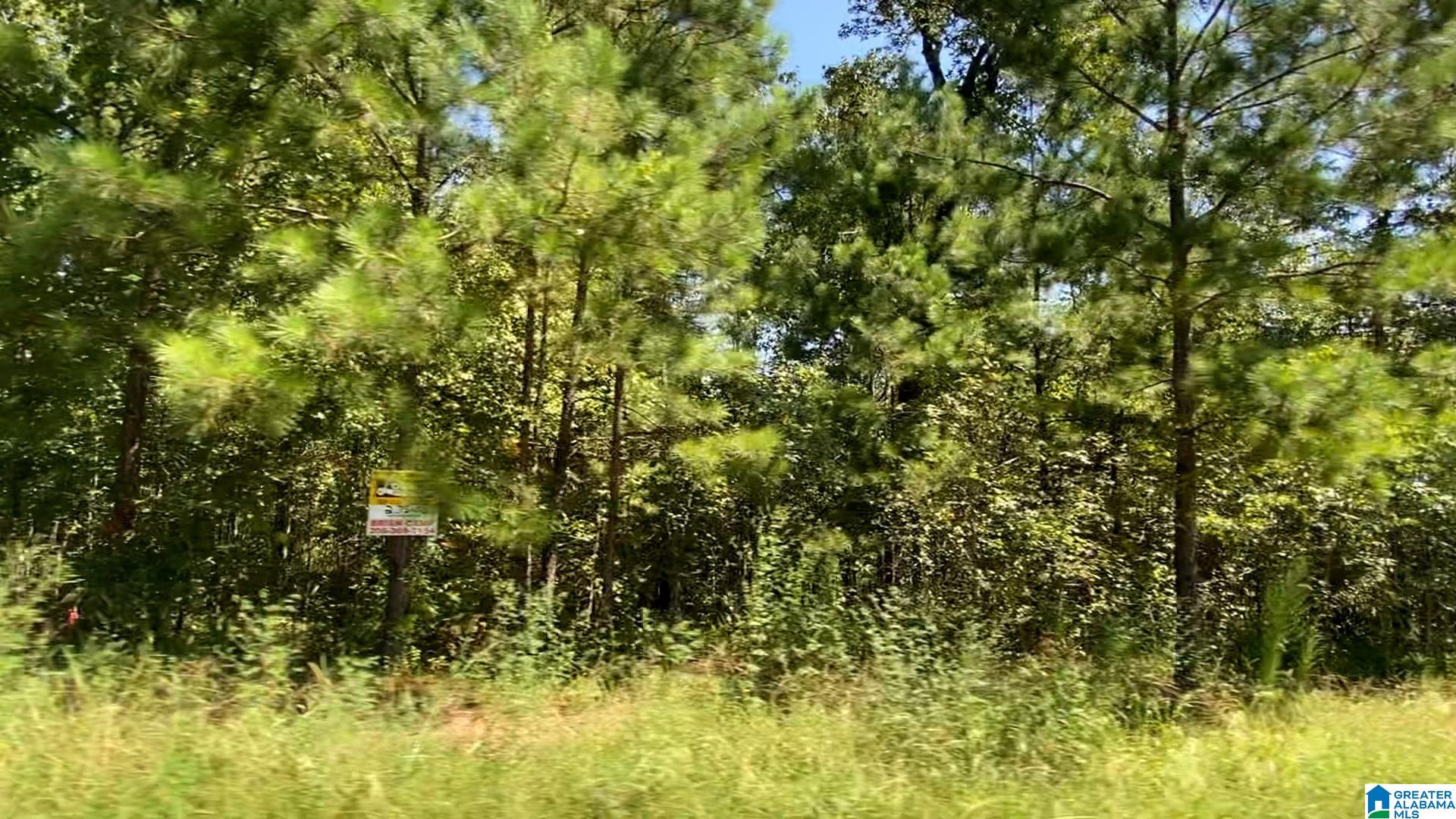 30 Scenic Vly Road, Unit TRACT 4 Springville, AL 35146 - Photo 6 of 10