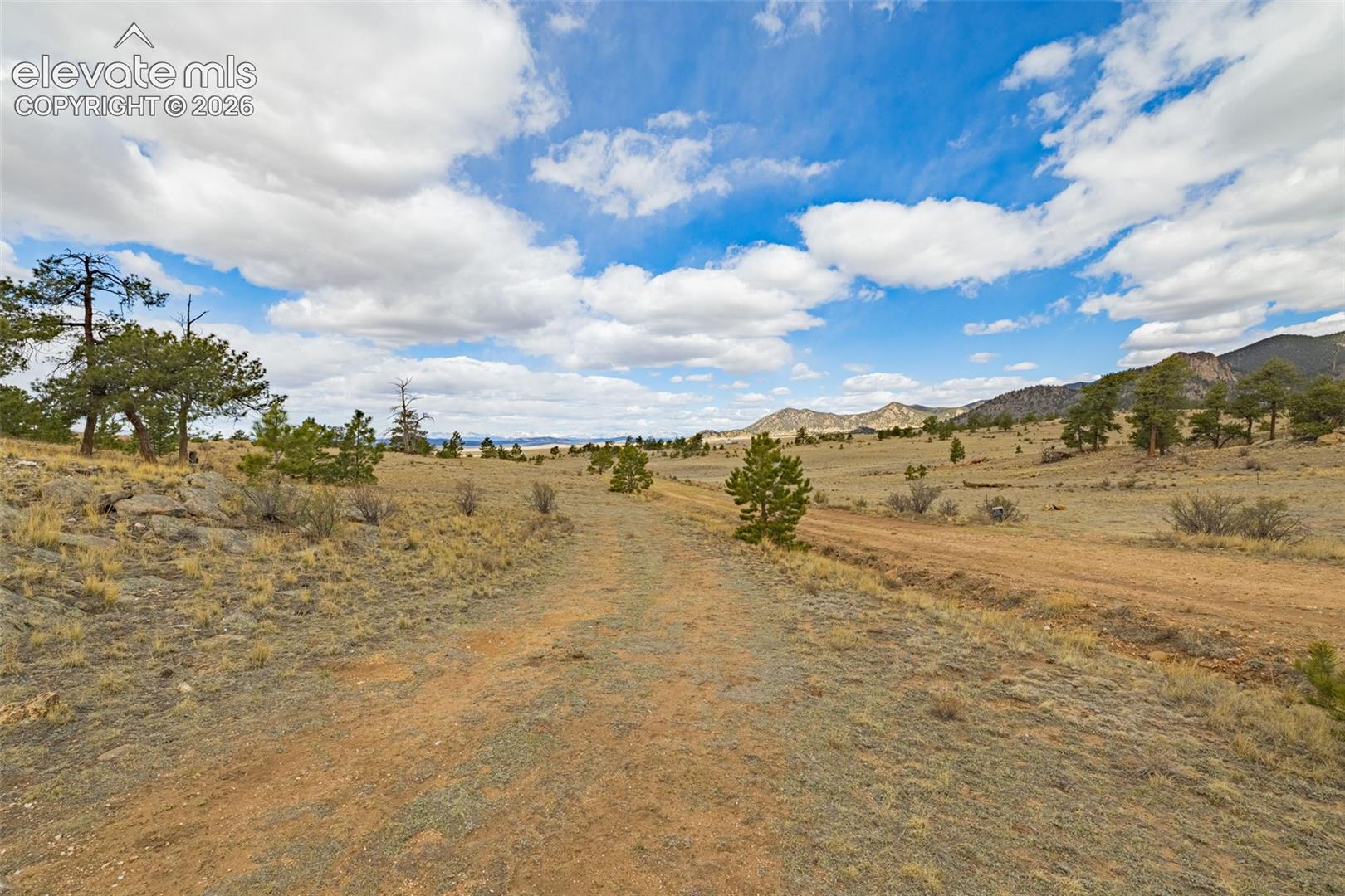 10682 Routt Road Lake George, CO 80827 - Photo 12 of 36 Gallery Image 12