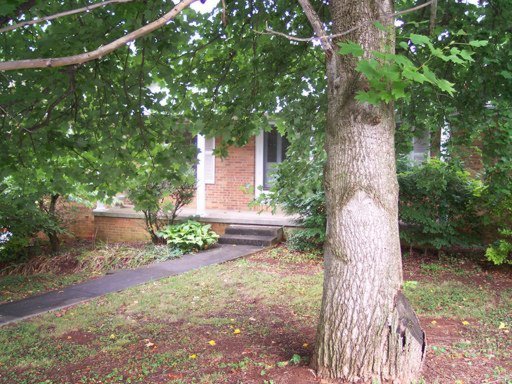 808 Kevin Road Knoxville, TN 37923 - Photo 1 of 1 Primary Photo