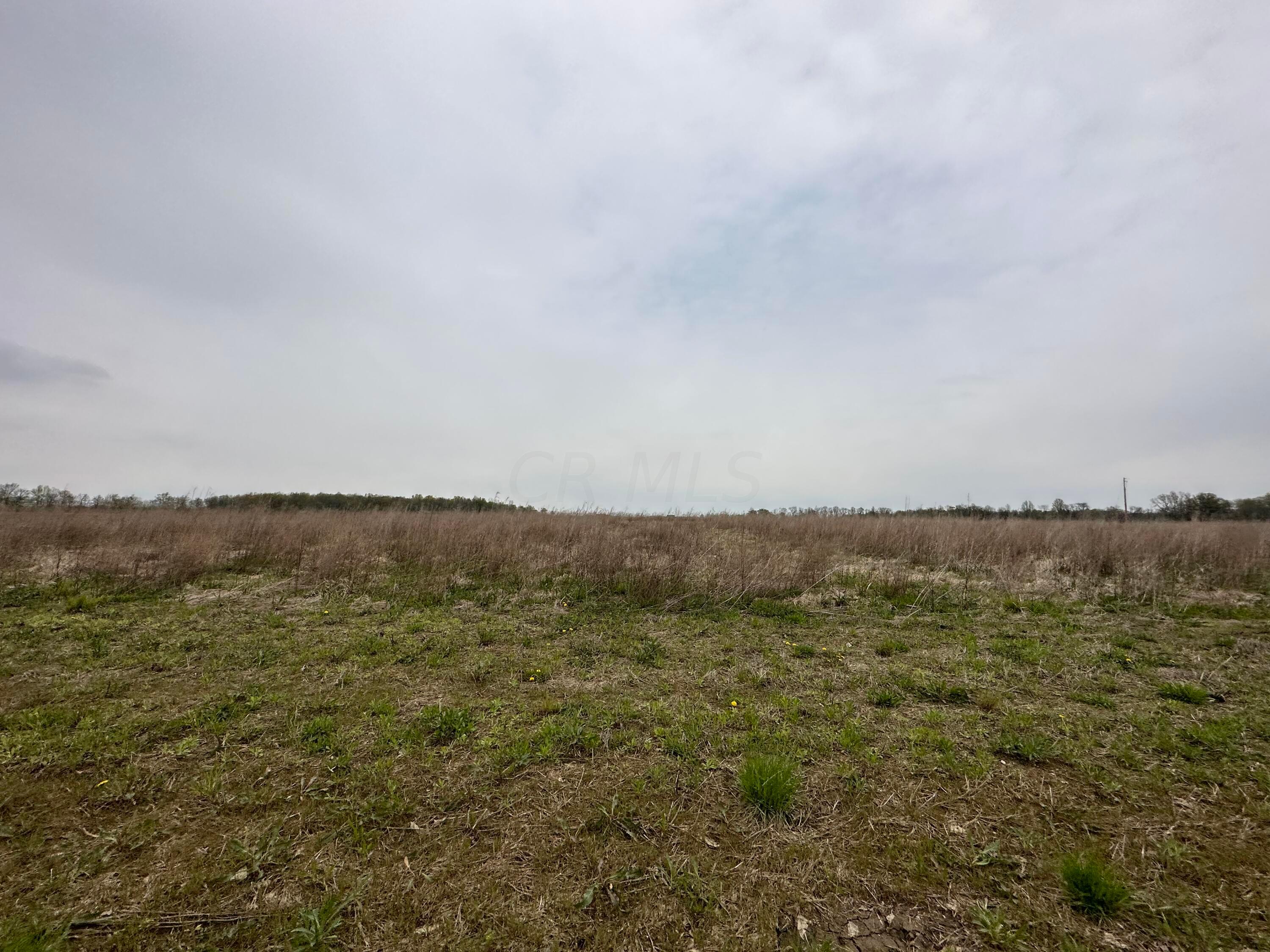 0 Tyler Road, Unit LOT 1 Ostrander, OH 43061 - Photo 5 of 7 202BE16C-B663-4971-BBE4-35CC6A34DCF3