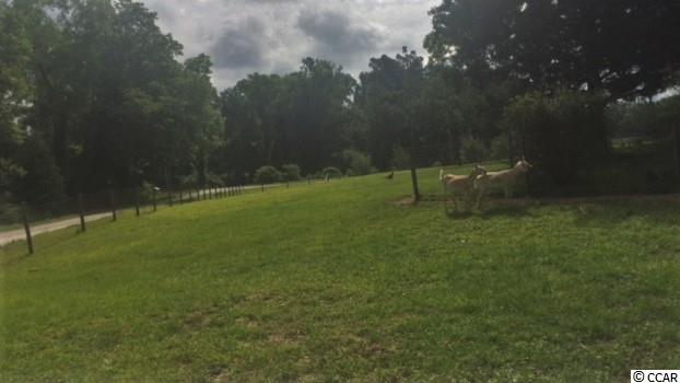 2120 Wild Flower Road Loris, SC 29569 - Photo 24 of 25 Gallery Image 24