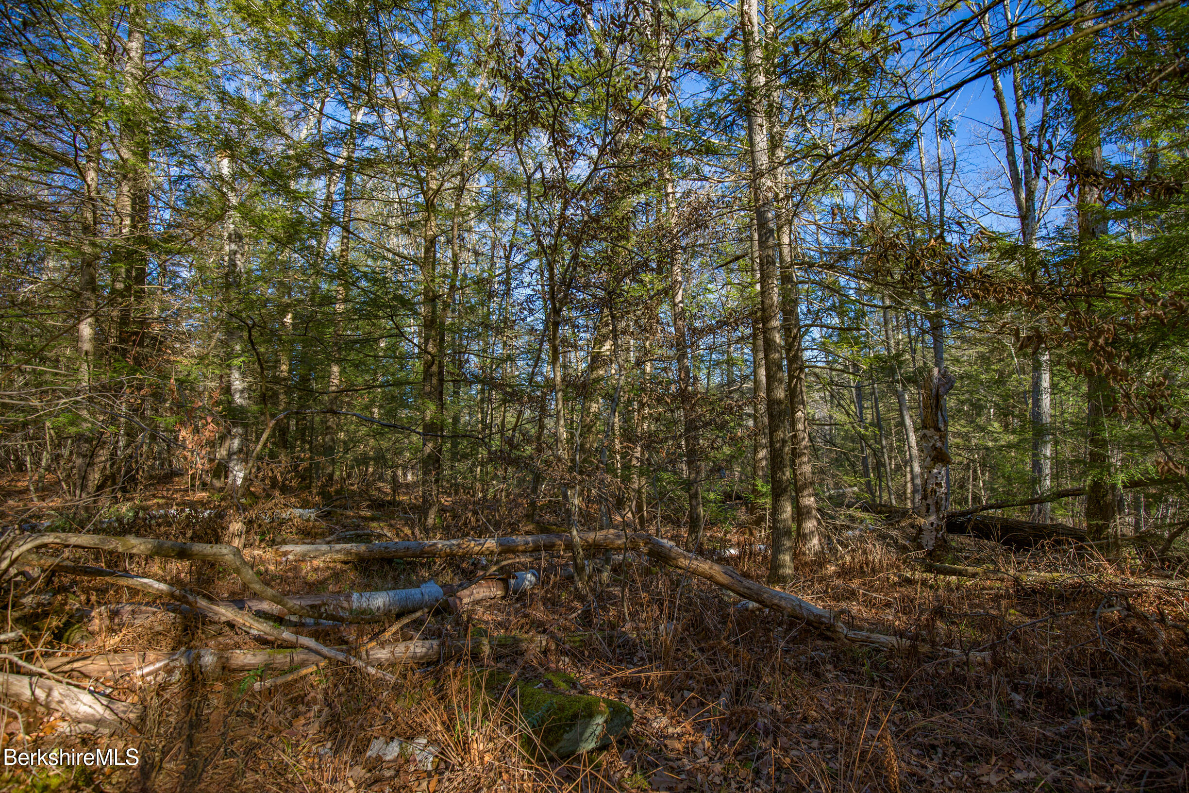 0 Goose Pond Road Lee, MA 01264 - Photo 12 of 21 a view of a yard with plants and large trees