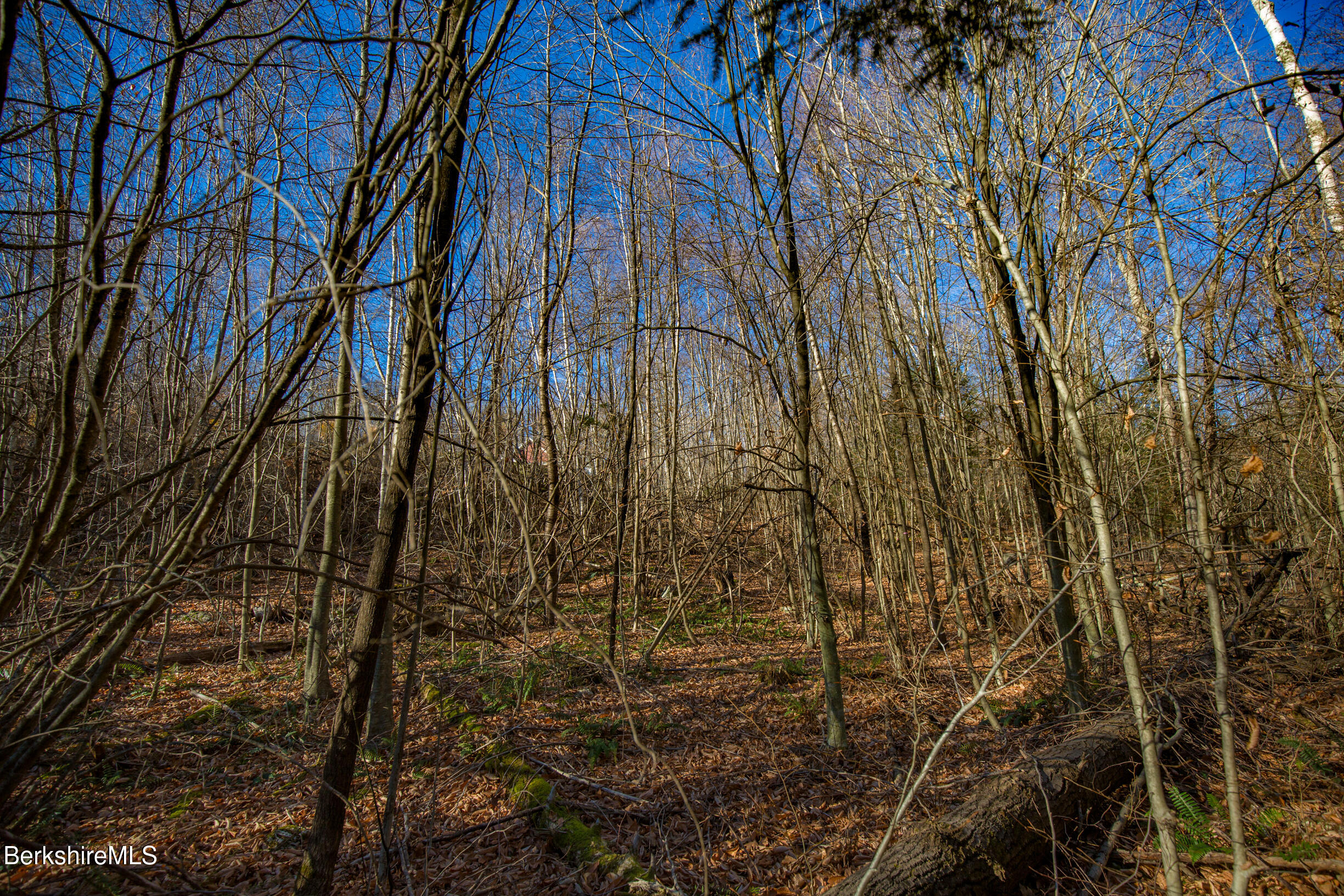 0 Goose Pond Road Lee, MA 01264 - Photo 14 of 21 a view of a yard