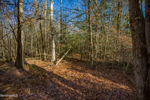 a view of a outdoor space and a swimming pool