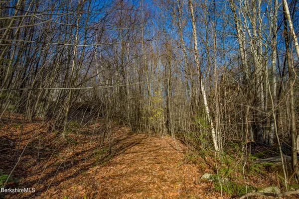 a view of a lush green hillside and houses