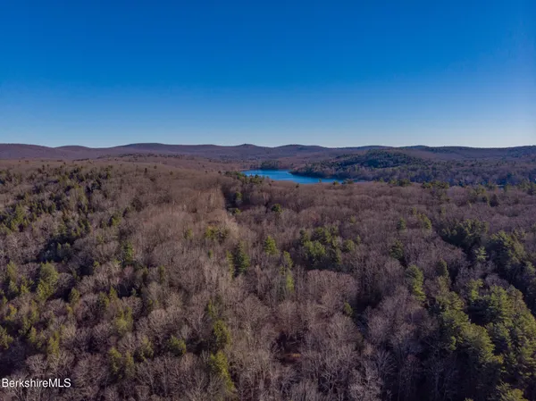 a view of a city with a mountain in the background
