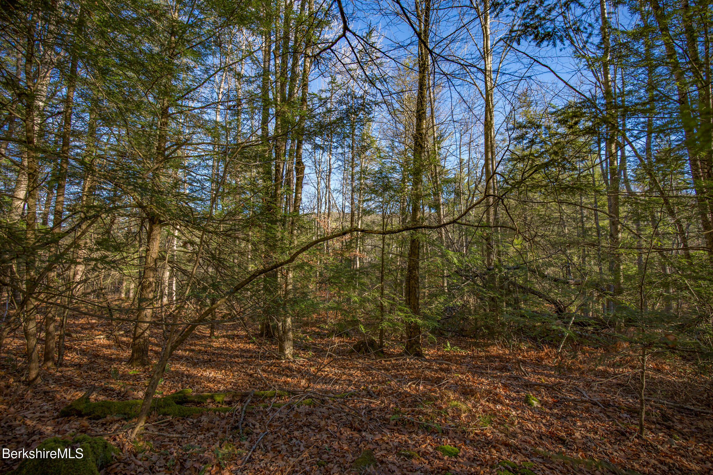 0 Goose Pond Road Lee, MA 01264 - Photo 3 of 21 a backyard of a house with lots of trees