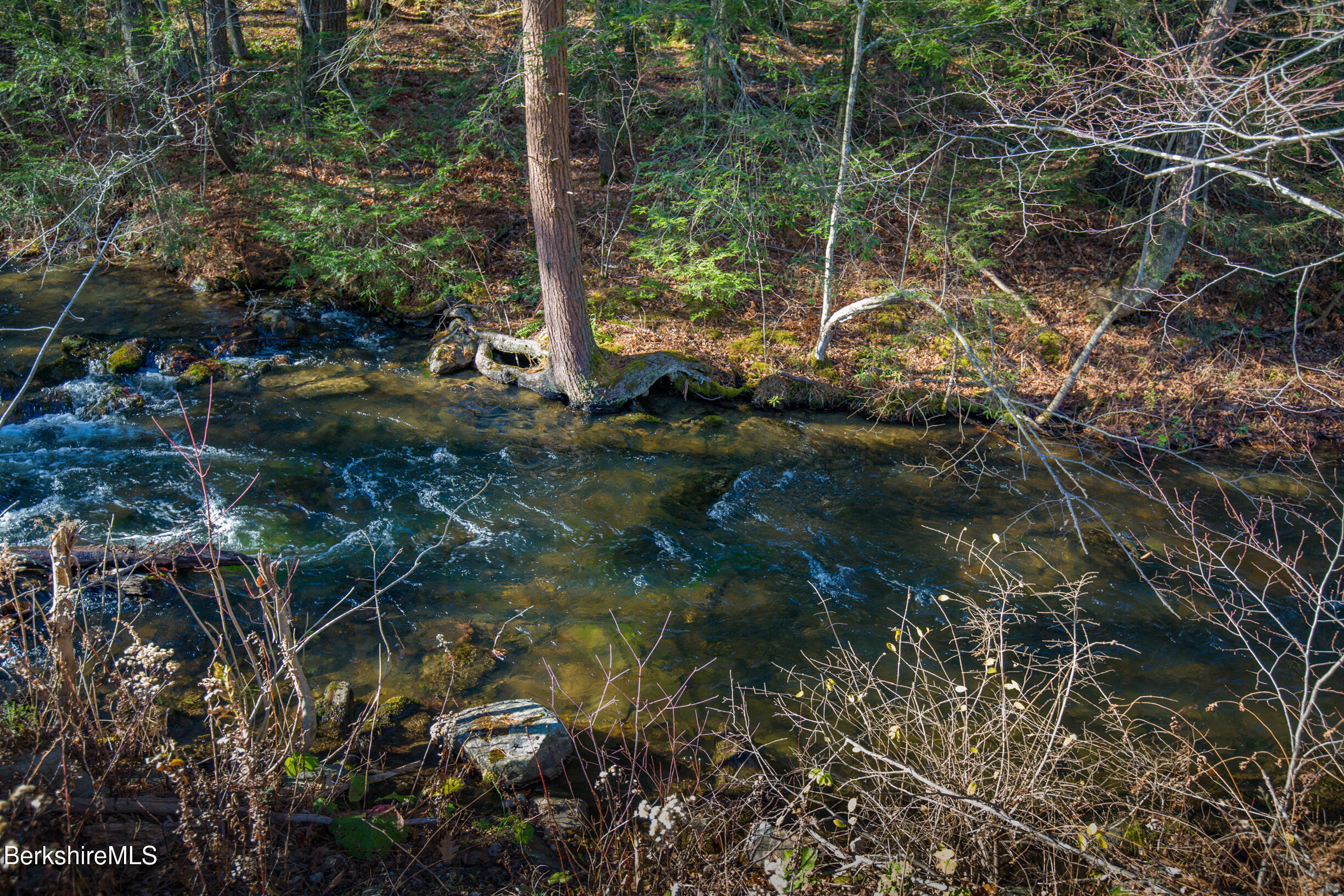 0 Goose Pond Road Lee, MA 01264 - Photo 5 of 21 a view of a tree in a yard