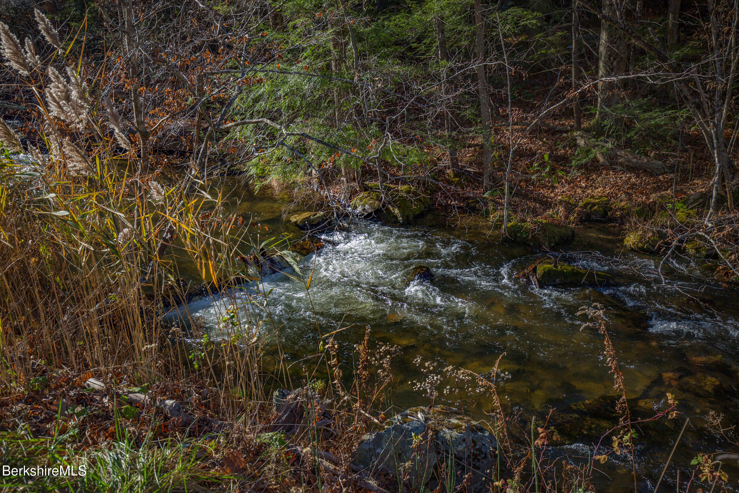 0 Goose Pond Road Lee, MA 01264 - Photo 6 of 21 a view of a forest with a tree